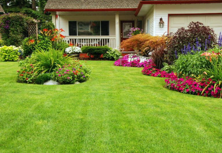 Best Plants for Garden Landscaping Dubai Homes
